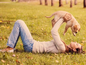 How to Volunteer for PAWS in 3 Steps