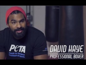 VIDEO: Heavyweight Boxing Champion David Haye Takes A Jab at Meat Industry in PETA Ad