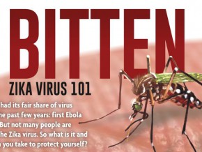 Bitten: Zika Virus 101