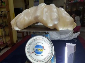 World’s largest pearl? 34kg giant pearl found in Palawan
