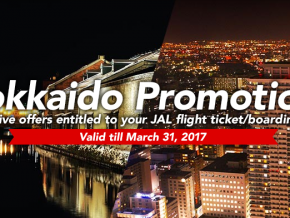 Journey with Japan Airlines by these exciting promos!