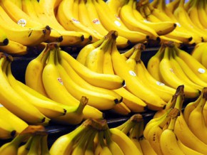 Japan to import $220-M worth of Philippine bananas yearly