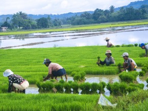 Russia to import $2.5B worth of PH Agricultural products