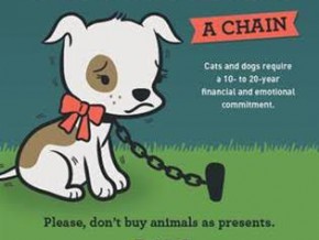 PETA Campaign Urges People NOT to Buy Animals as Christmas Presents