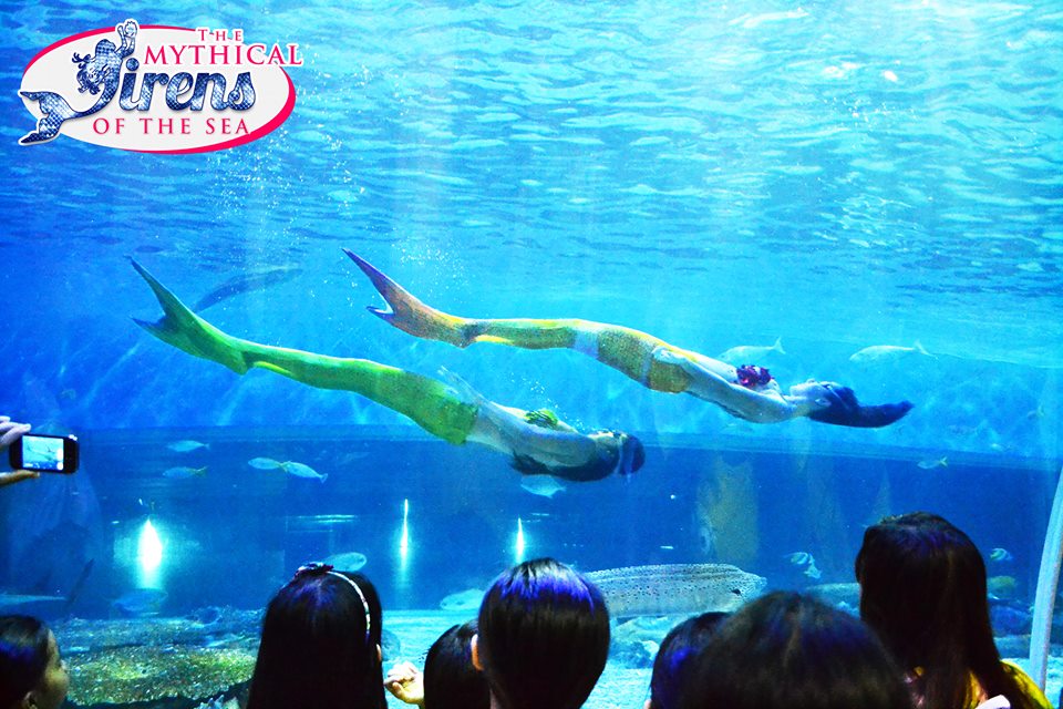 manila oceanarium park manila oceanarium park