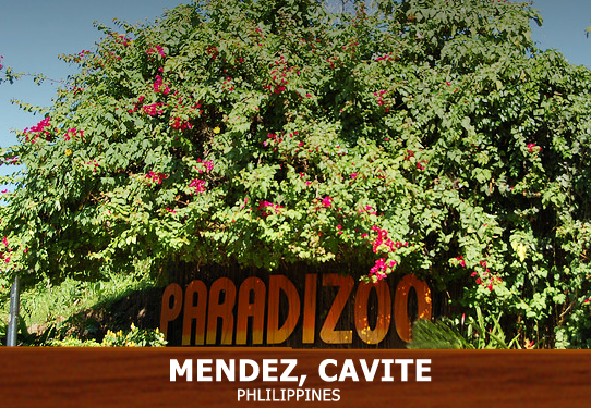 paradizoo