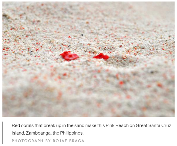 Pink Sand Beach