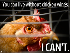 PETA Raise Awareness of the Cruelty Inherent in the Meat Industry in Honor of the Year of the Chicken