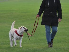 LIST: Pet-friendly places in Manila