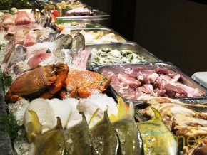 An Overview to Dampa in the Philippines