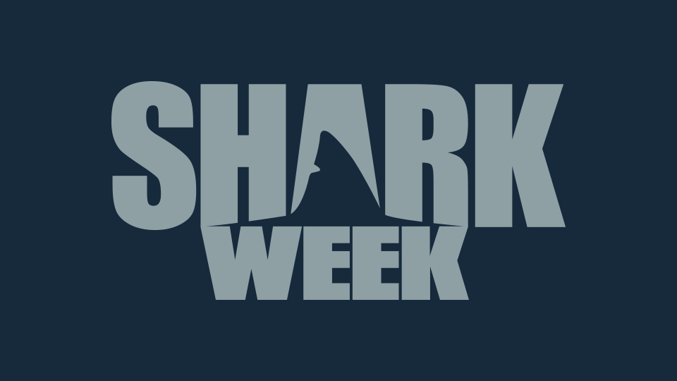 Shark Week 2017: #TeamPhelps vs #TeamShark to kick off Shark Week ...