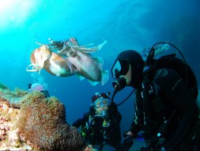 Scuba Diving Schools in Metro Manila