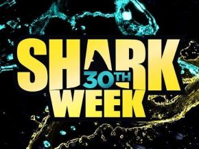 Discovery Channel Uncovers 10 Facts You Need to Know Before Shark Week