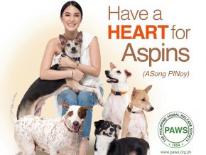 PAWS’ New Campaign ‘Have a Heart for Aspins’ Gains Support
