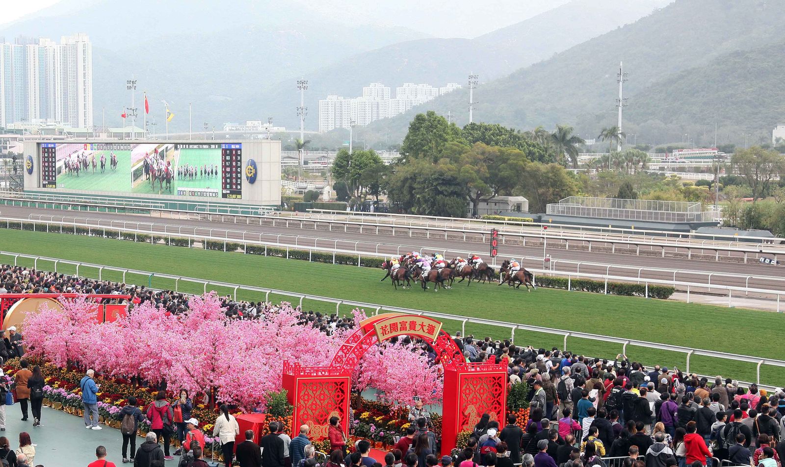 chinese new year race day