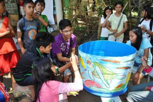 10 Marine Conservation NGOs You Can Volunteer For | Philippine Primer