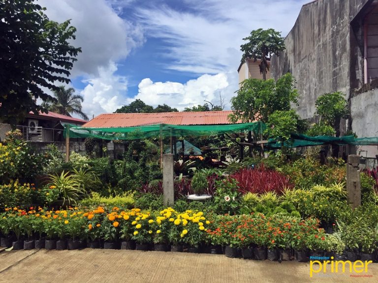 MustHave Souvenirs from Silang, Cavite and Where to Buy Them