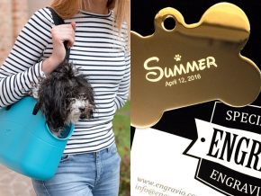 Gift Ideas for Pet Lovers and Pet Parents this 2019