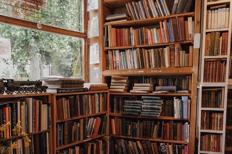 LIST Free Online Libraries During COVID19 Philippine Primer