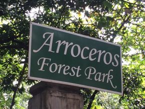 Arroceros Park Declared as Permanent Forest Park by Manila City Government