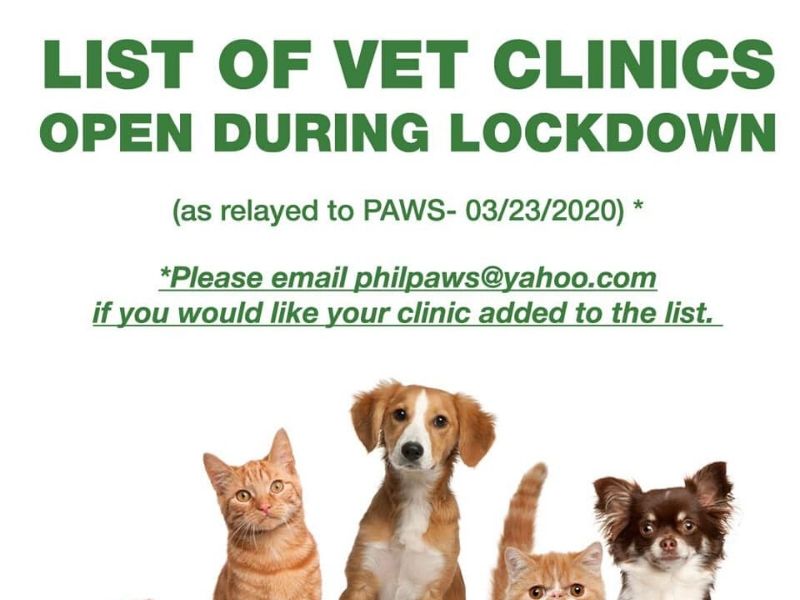 Near me clinic animal Low Cost