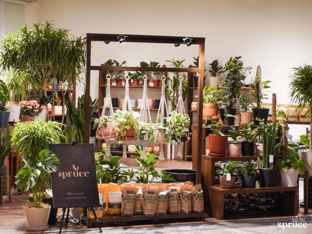 SHOP NOW Your Goto Houseplant Shops and Furniture Stores in the Metro