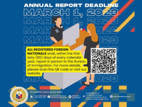 Guidelines for 2023 Annual Report for Foreign Nationals