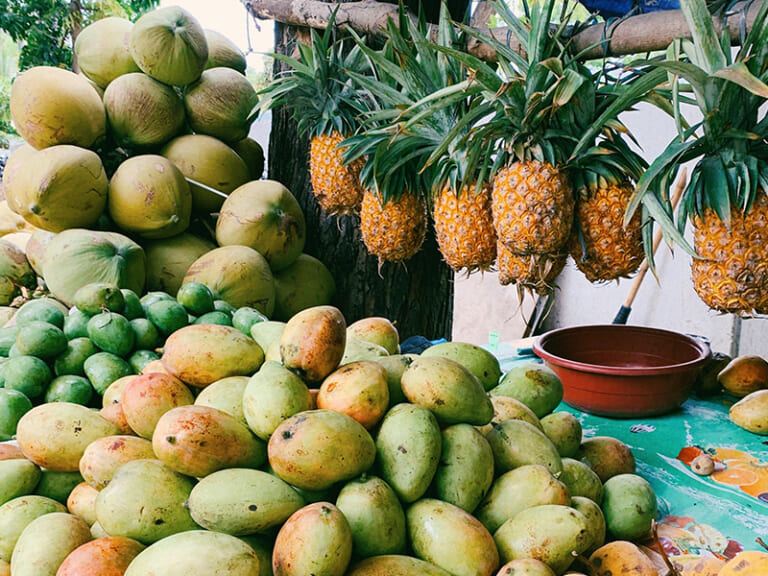 9 New Mango Varieties and Selections in the Philippines According to
