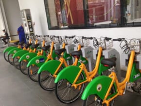 Tutubi Bike Rentals: Your Wings Across the City