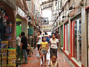 List: Pet Shops in Metro Manila