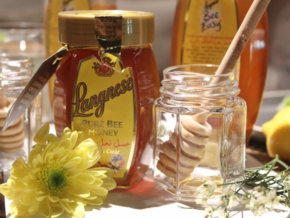 Langnese Lets You Find Your Honey with Their Five Delectable Flavors