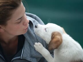 List: Animal Shelters in the Philippines