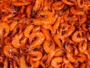 Easy Peasy Recipe: Gambas al Ajillo