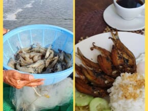 Why “Our Fresh Harvest” is a Haven for Seafood Lovers