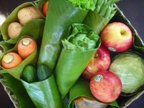 Healthy Eater, Organic Lover? Here’s a List of Online Veggie Grocery Stores You Can Rely On
