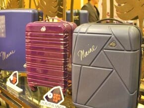 Samsonite Philippines adds more color through Kamiliant