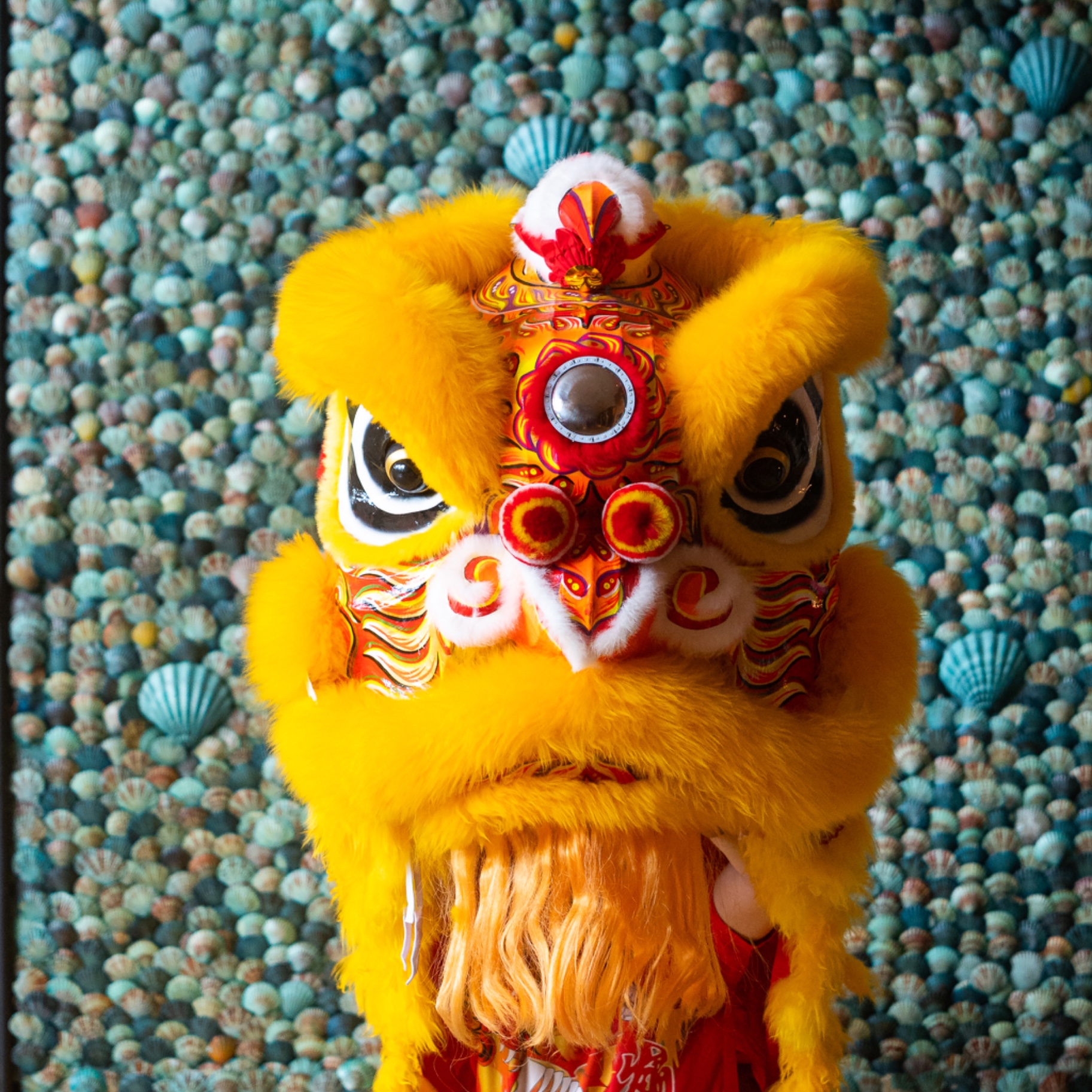 chinese new year animals september