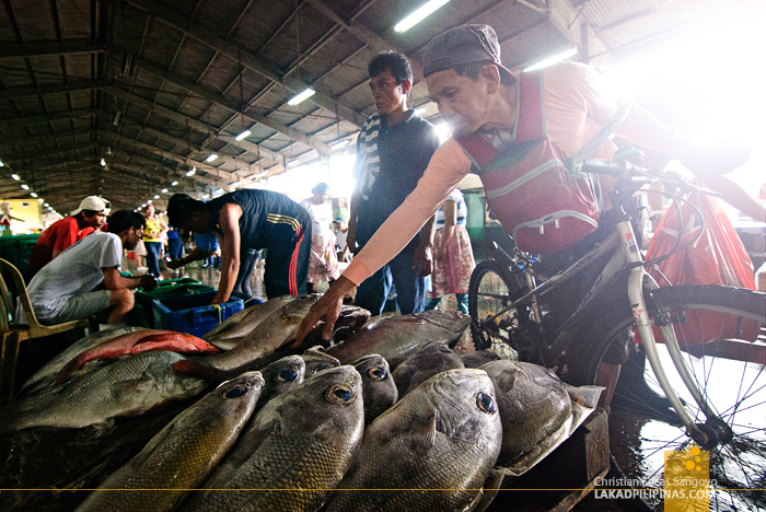 20121026-NAVOTAS-D80-0053