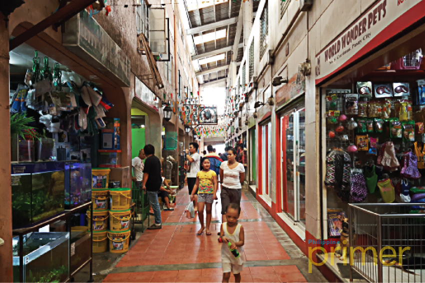 metro market pet shop