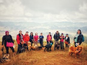Ruff Guides: Take Your Dog on a Hike!