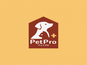 Quality Pet Food Without the Hassle: Pet Pro Philippines