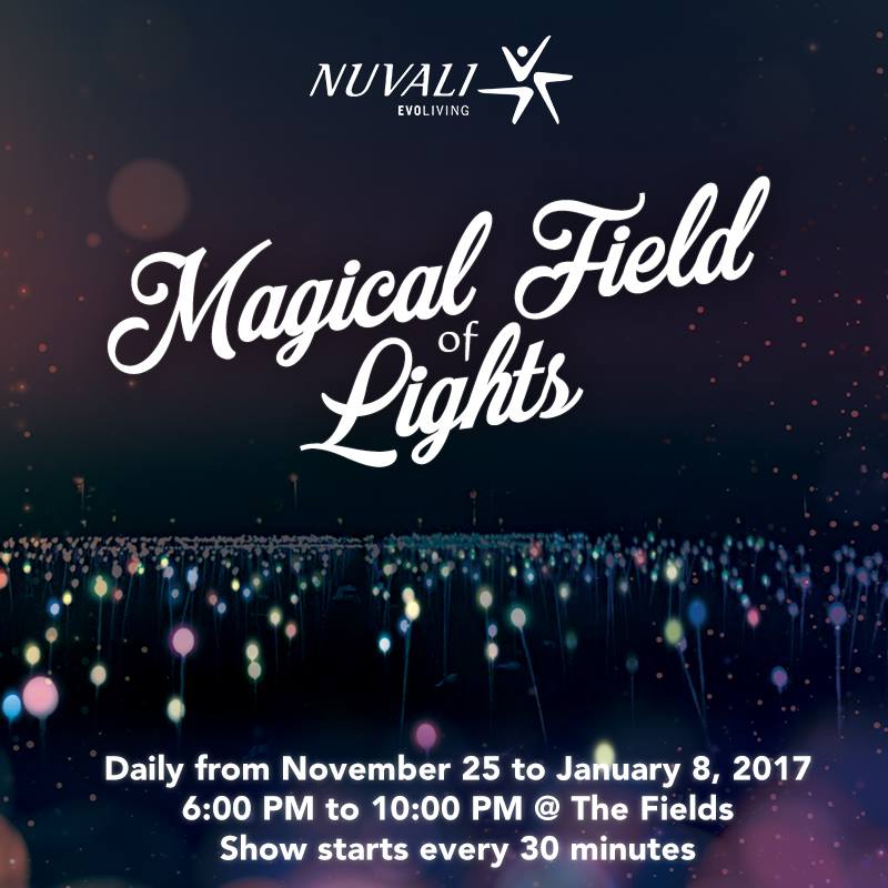 magical-field-of-lights