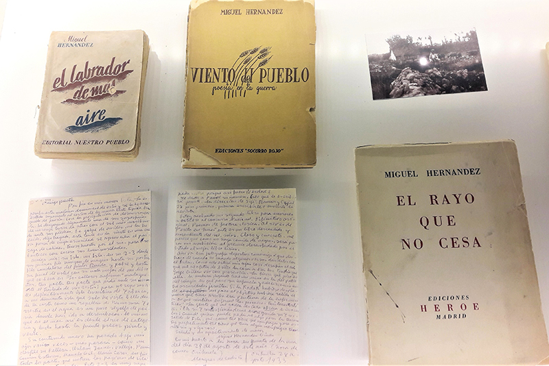 Miguel Hernández, a plena luz: A Commemorative Exhibit by Instituto ...