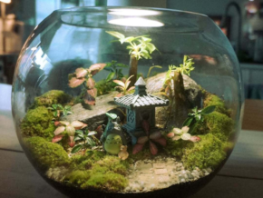 Moss Escape Brings a Miniature Landscape Terrarium Exhibition and Workshop Experience to Uptown Mall in BGC