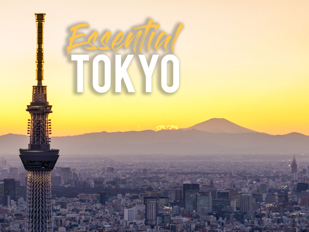 Essential Tokyo: Hottest Spots for Every Tourist
