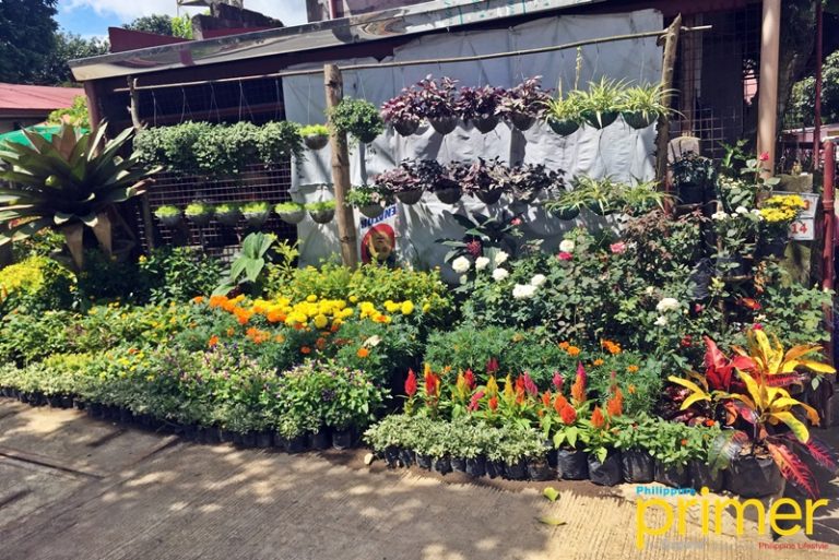 Silang, Cavite Tagaytay’s Underrated Neighbor Philippine Primer