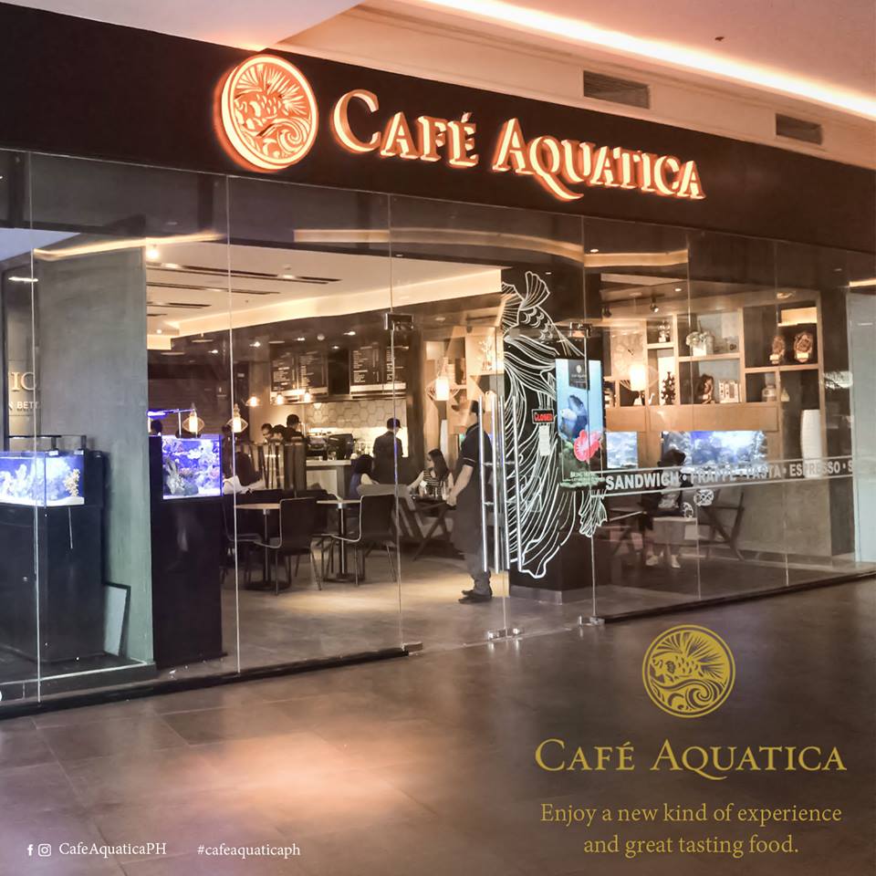 cafe aq3