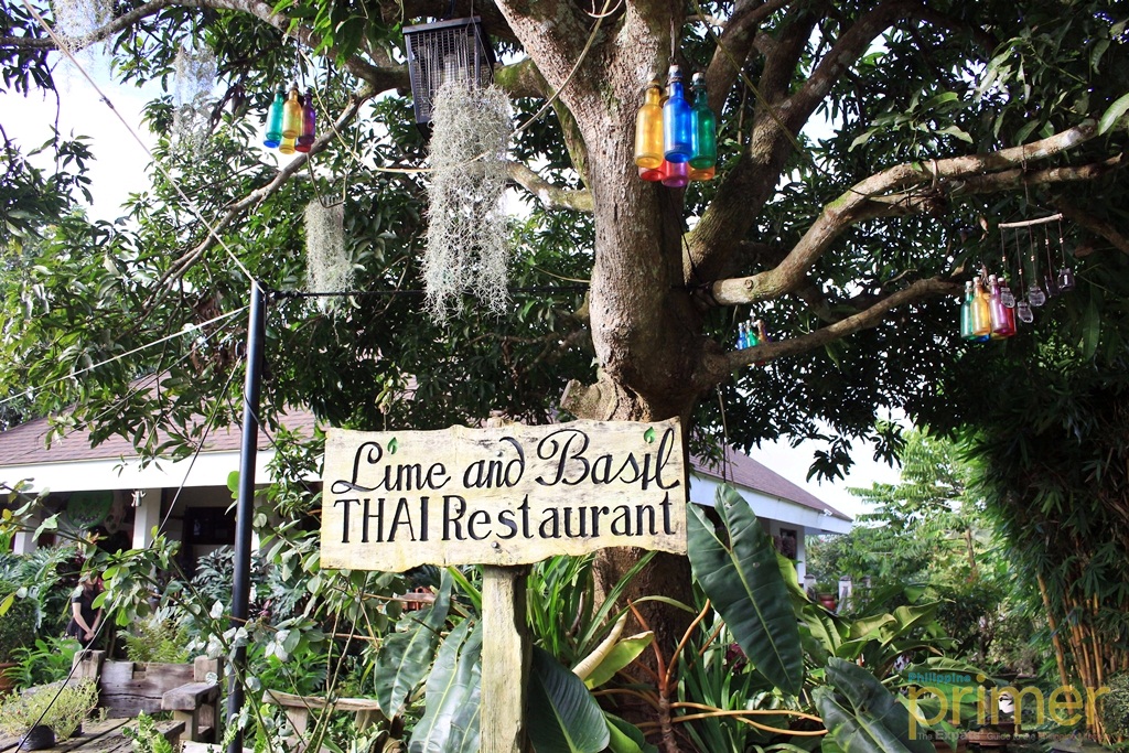 Lime and Basil in Tagaytay The City’s Precious Hidden Gem Philippine