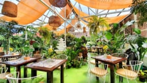Greenhouse Café in Tagaytay: A Plant Lover’s Paradise
