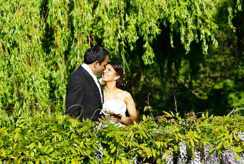 stockvault-wedding-photos113959